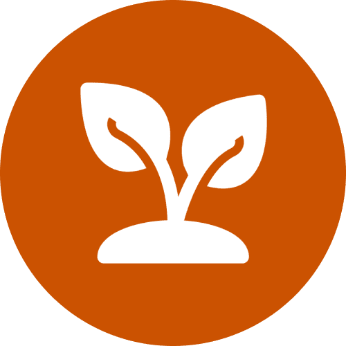 White seedling icon on orange circular background
